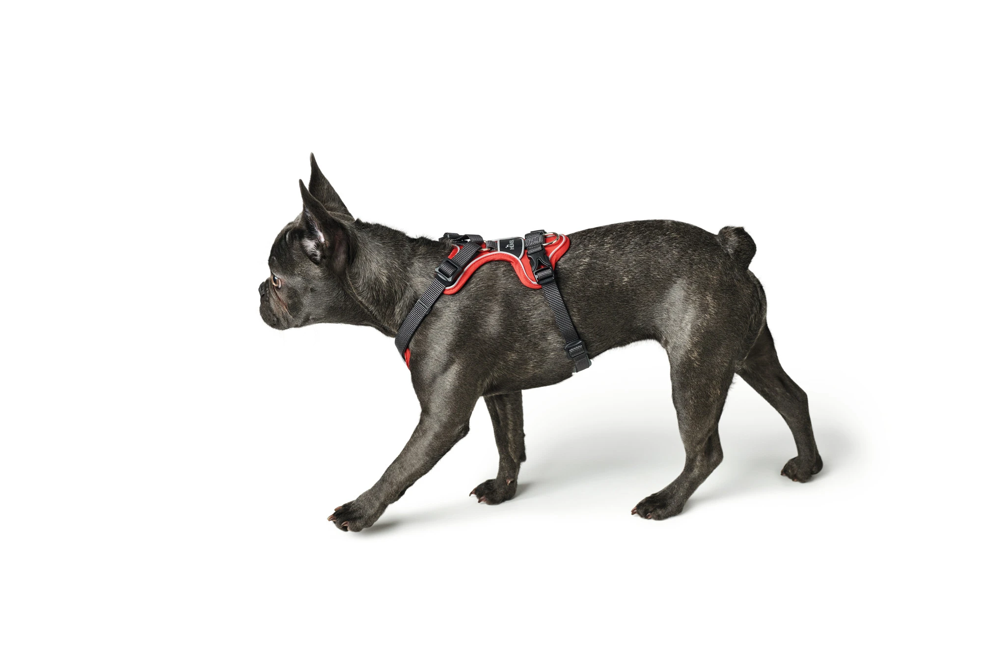 Hunter Divo hundesele L-XL rød/grå just mave 79-107 cm - Ekstra stabilitet og komfort